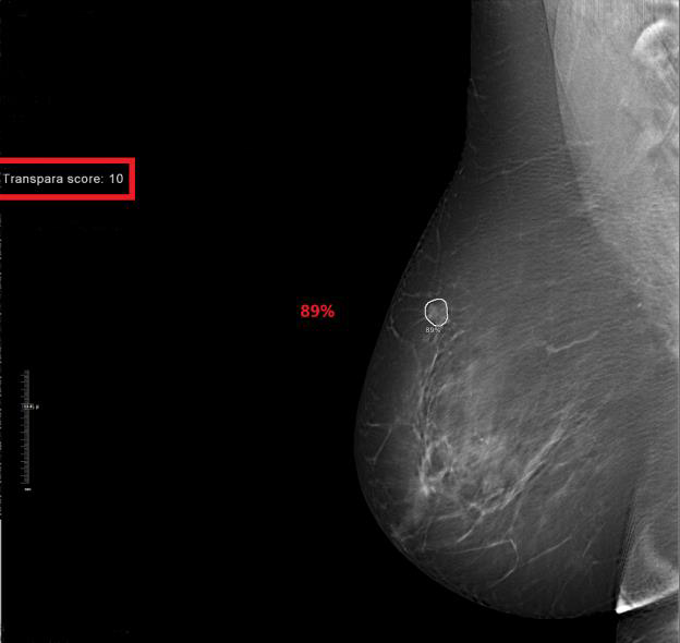 tecnologie-diagnostiche-avanzate-studio-futura
